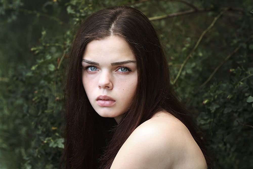 Dryad