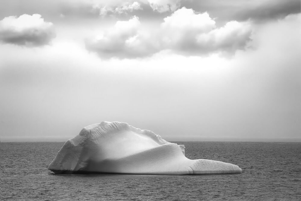 Brian Adamson Photos