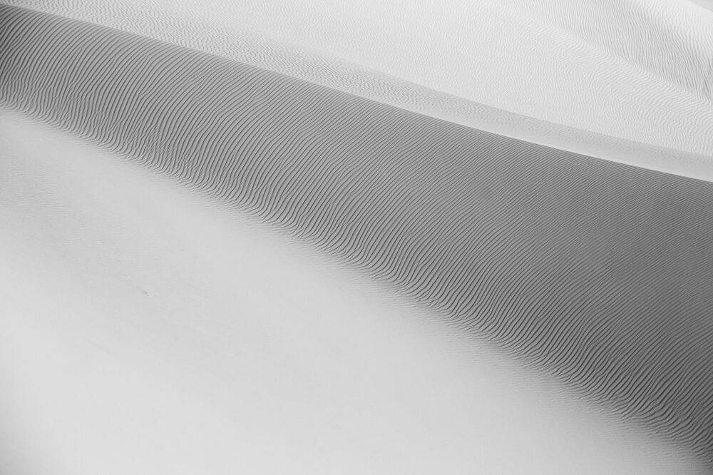 Photo 1312226