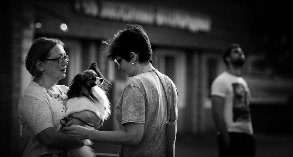 Photo 1312231