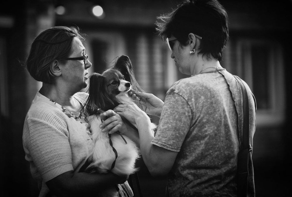 Photo 1312232