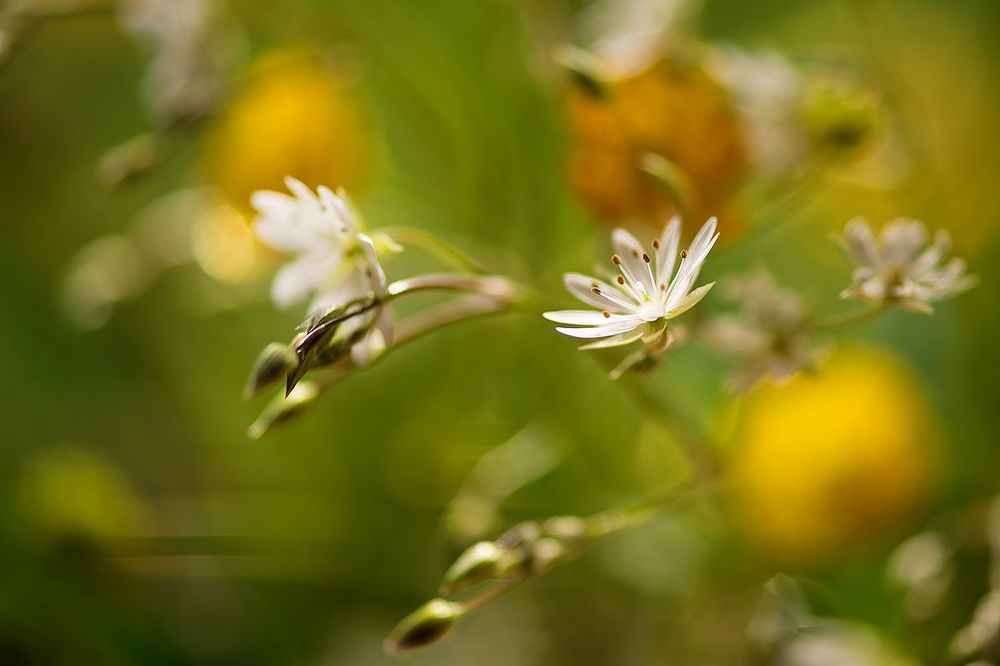 Photo 1313095