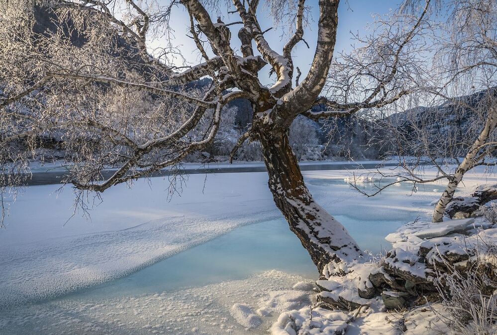 Катунь