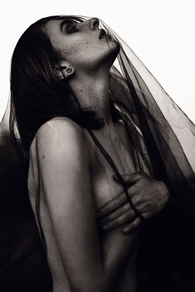 Photo 1313466