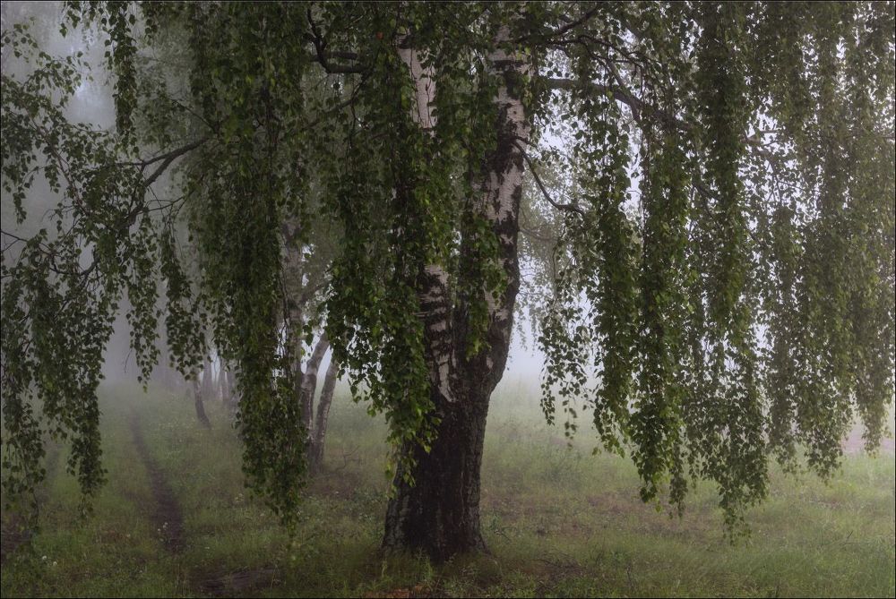 Ранним утром