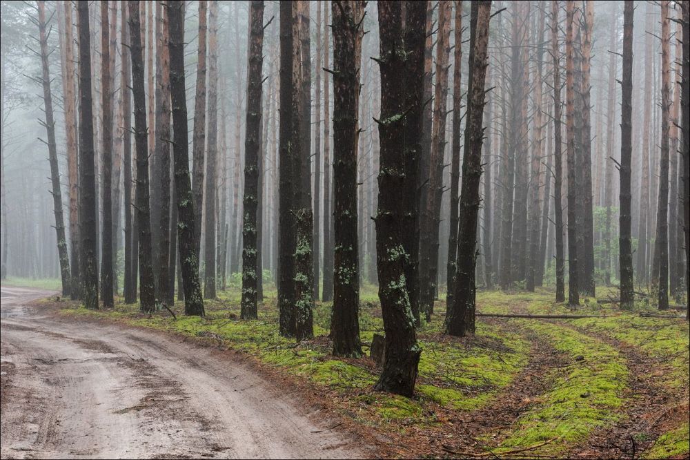 Мы сами себе выбираем дороги ...