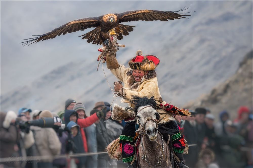 &laquo;Торжество победы&raquo;.
Монголия, фестиваль охотников с беркутами / Golden Eagle Festival, октябрь 2017 г.
Состязания "Лисья шкура" (беркуты должны поймать шкуру лисы, которую тащит за собой на веревке конный хозяин беркута )