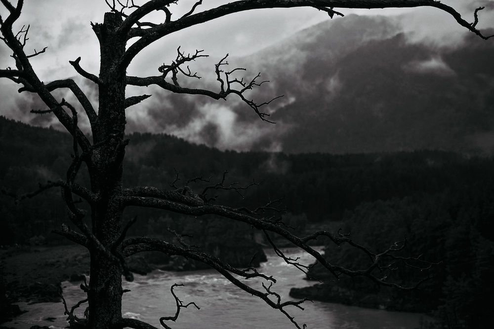 Photo 1315421