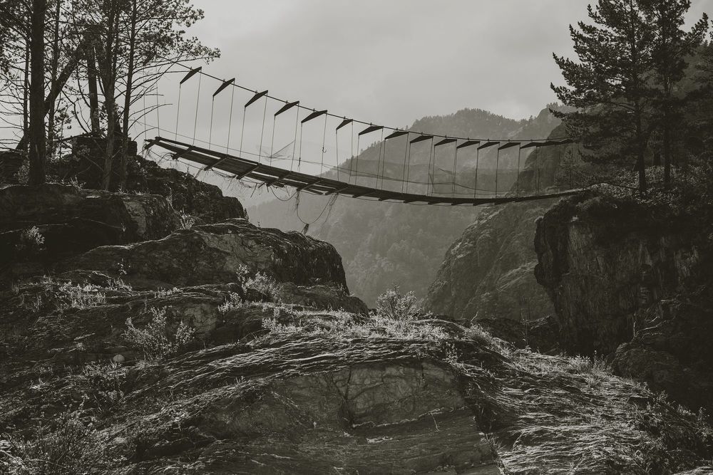 Photo 1315423