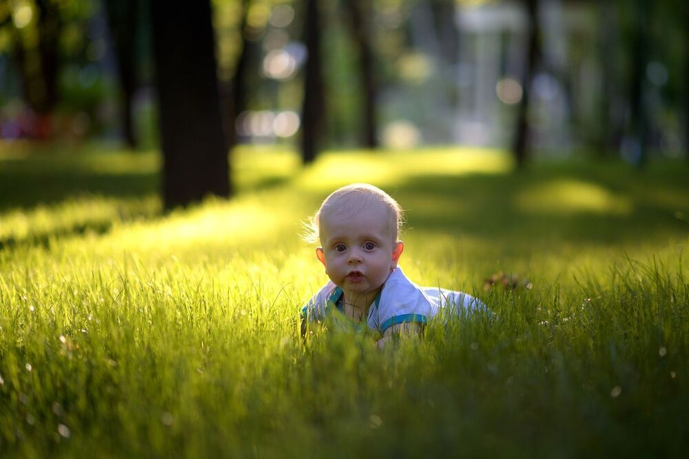 Photo 1316032