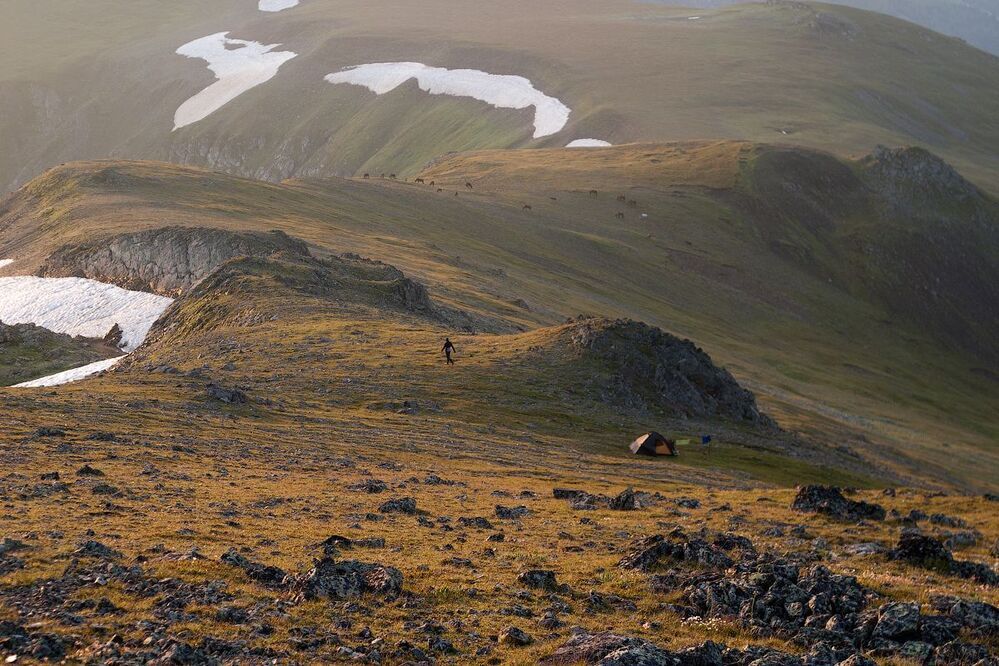 Джамараклитебе