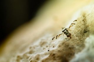 на посадочной полосе.