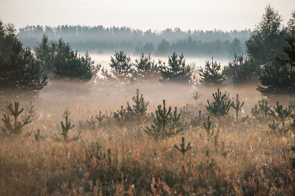 02 Пейзажи с туманом это, конечно, красиво, атмосферно, художественно ...