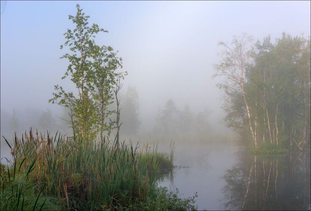 Нежное утро