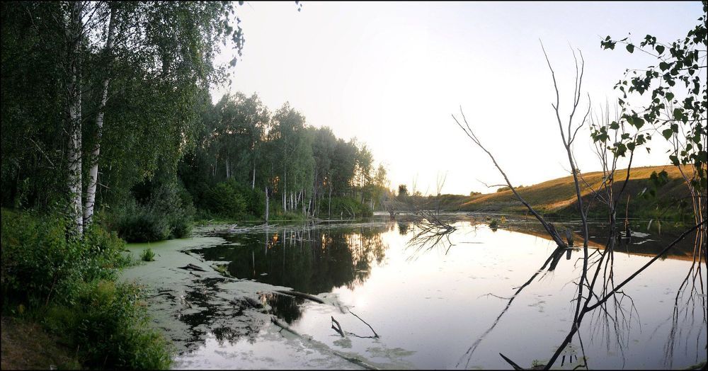 Природа поволжья