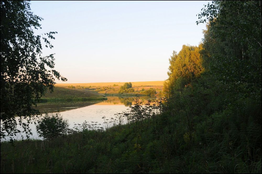 Природа поволжья