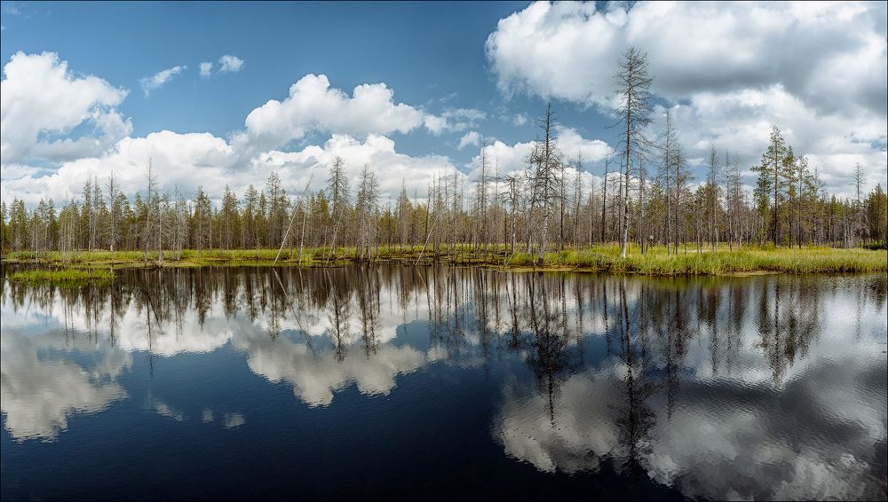 По дороге в Надым