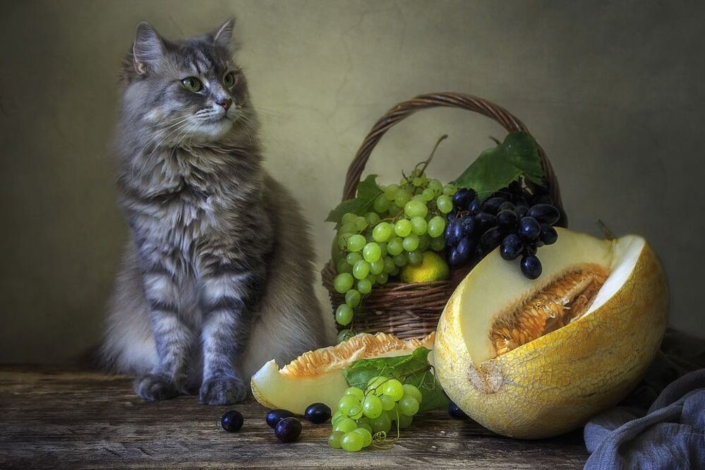 - Угощайтесь, пожалуйста! Сама-то я этого не ем...