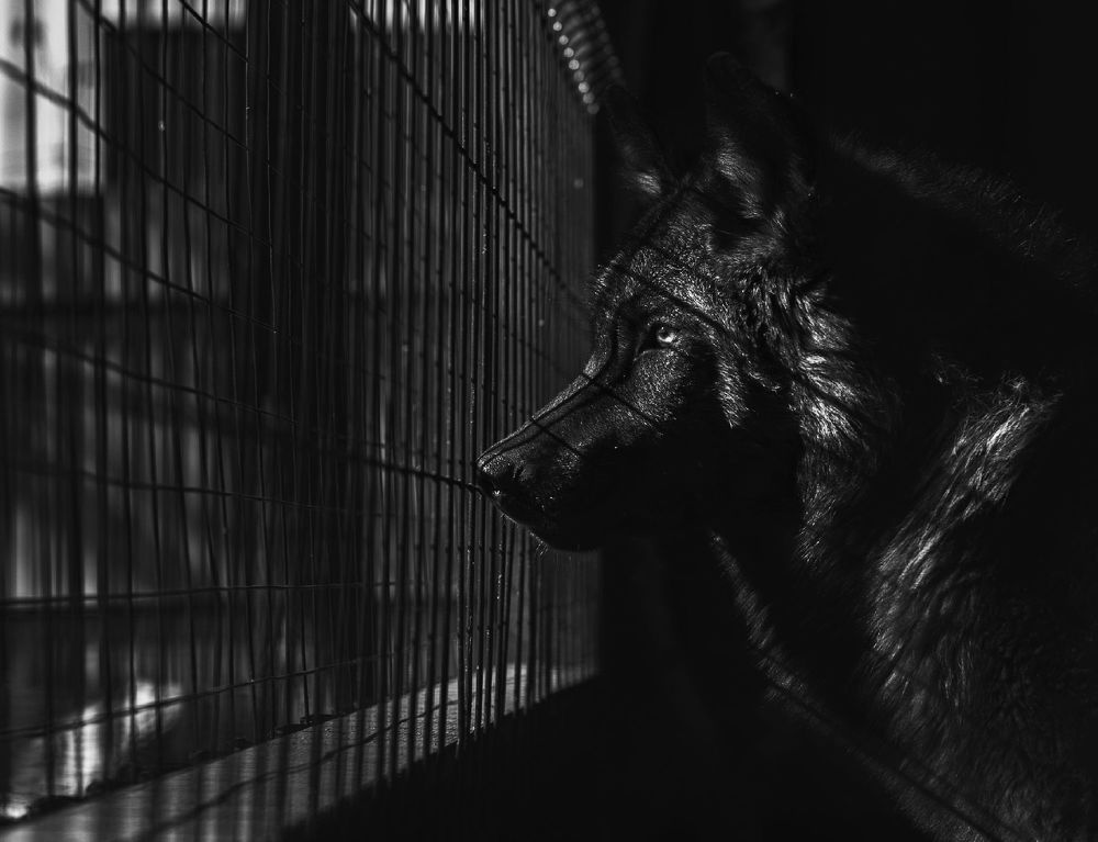 Photo 1324232