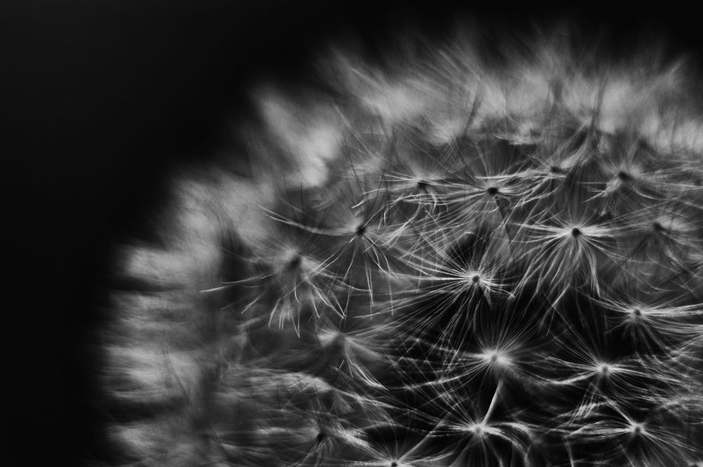 Photo 1324234