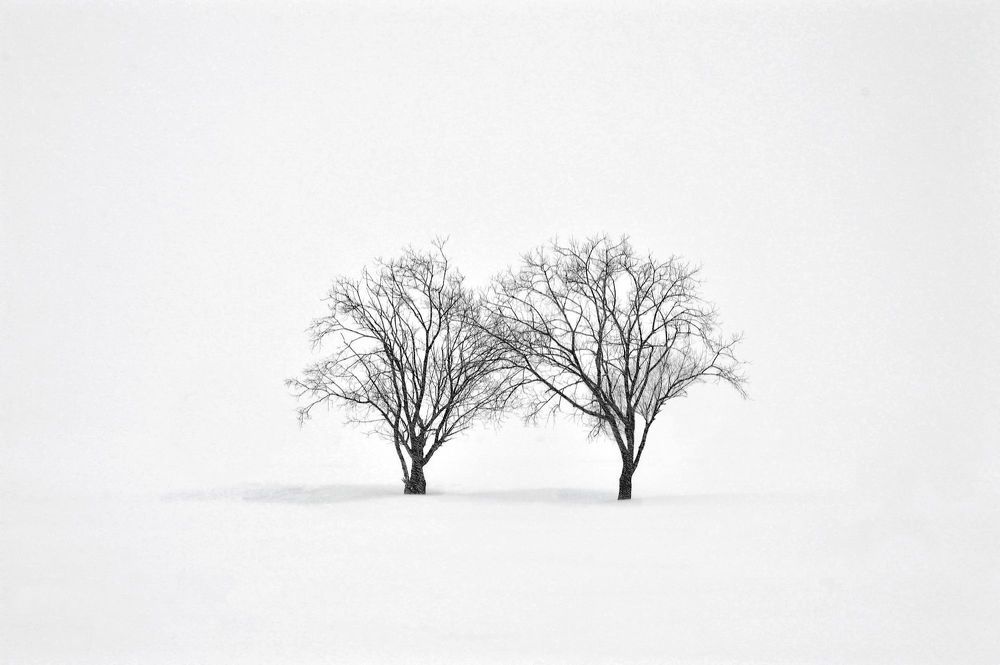 Photo 1324235