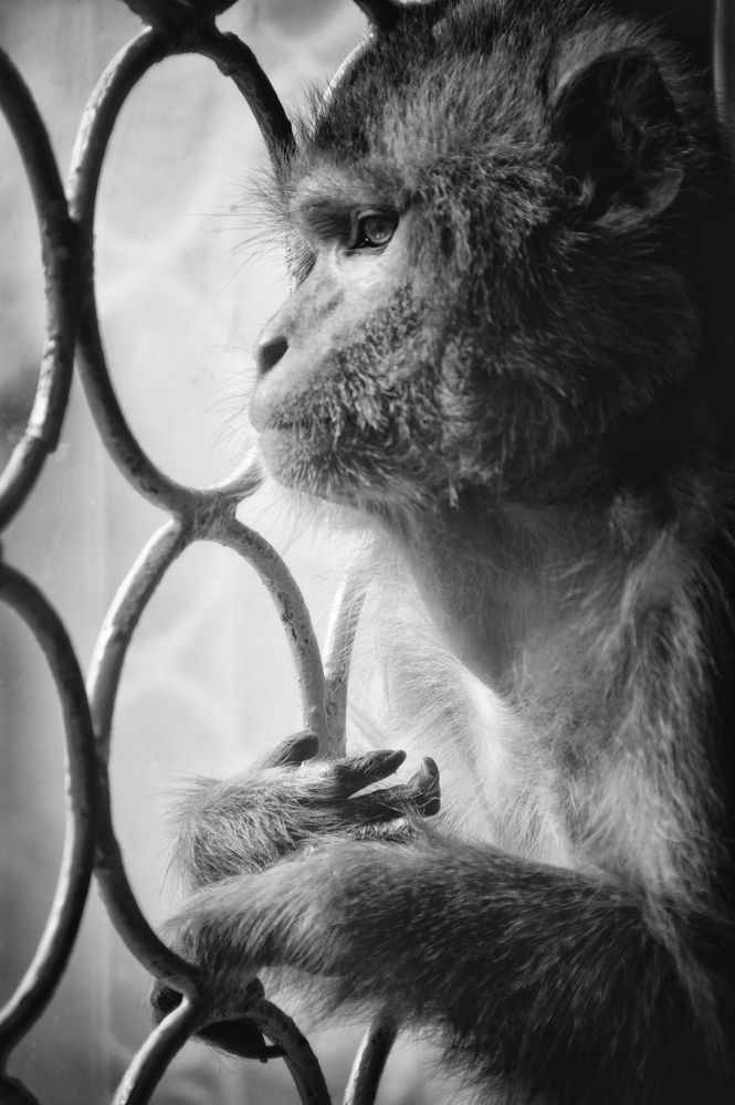 Photo 1324237