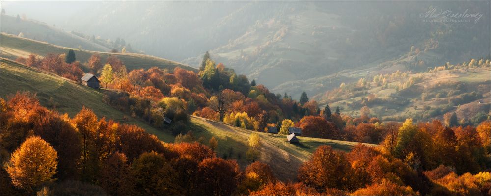 Карпатские пасторали
