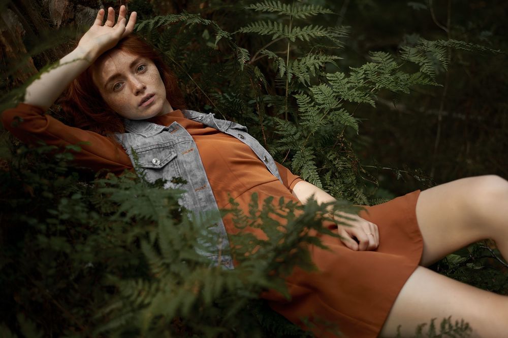 Into the woods