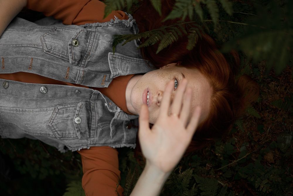 Into the woods