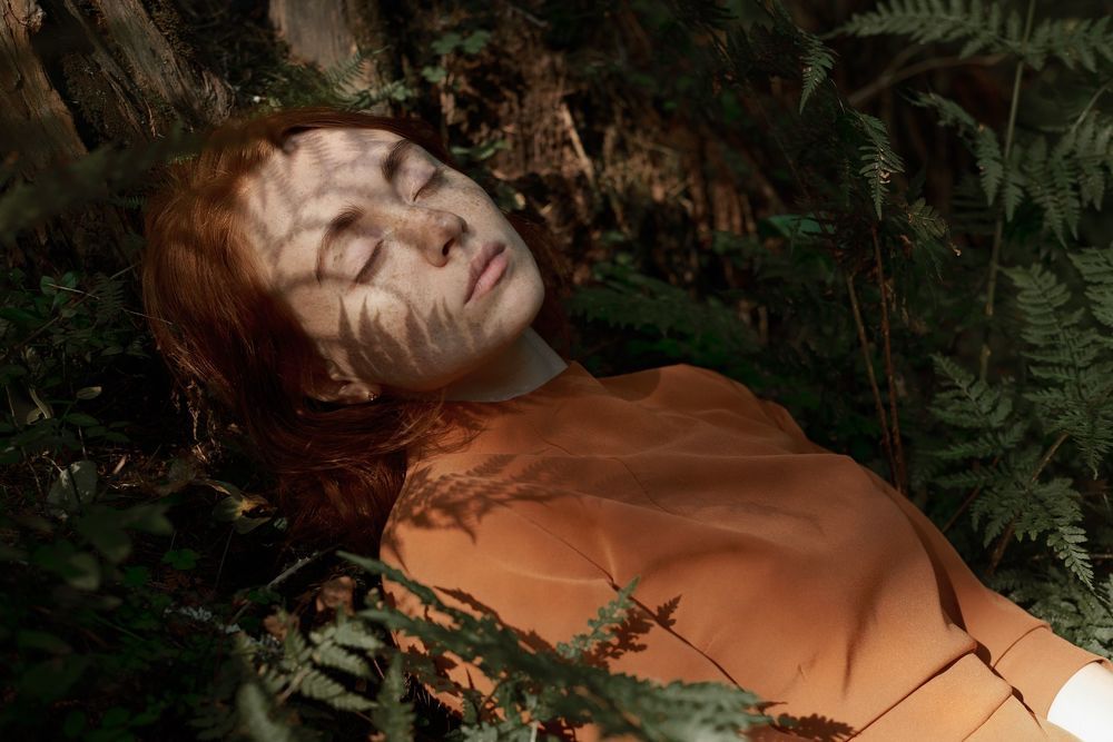 Into the woods