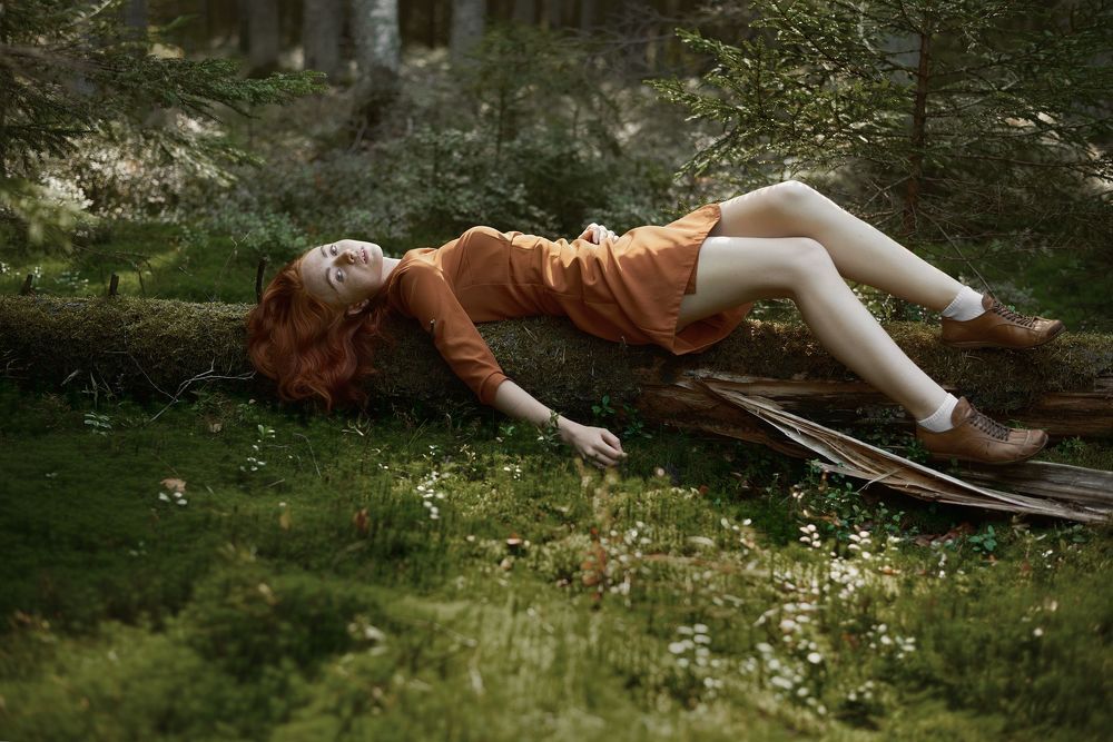 Into the woods