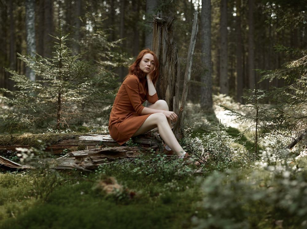 Into the woods
