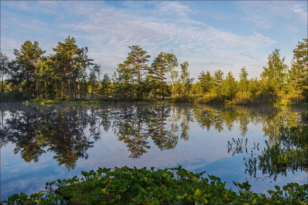 Поплыли рябые облака