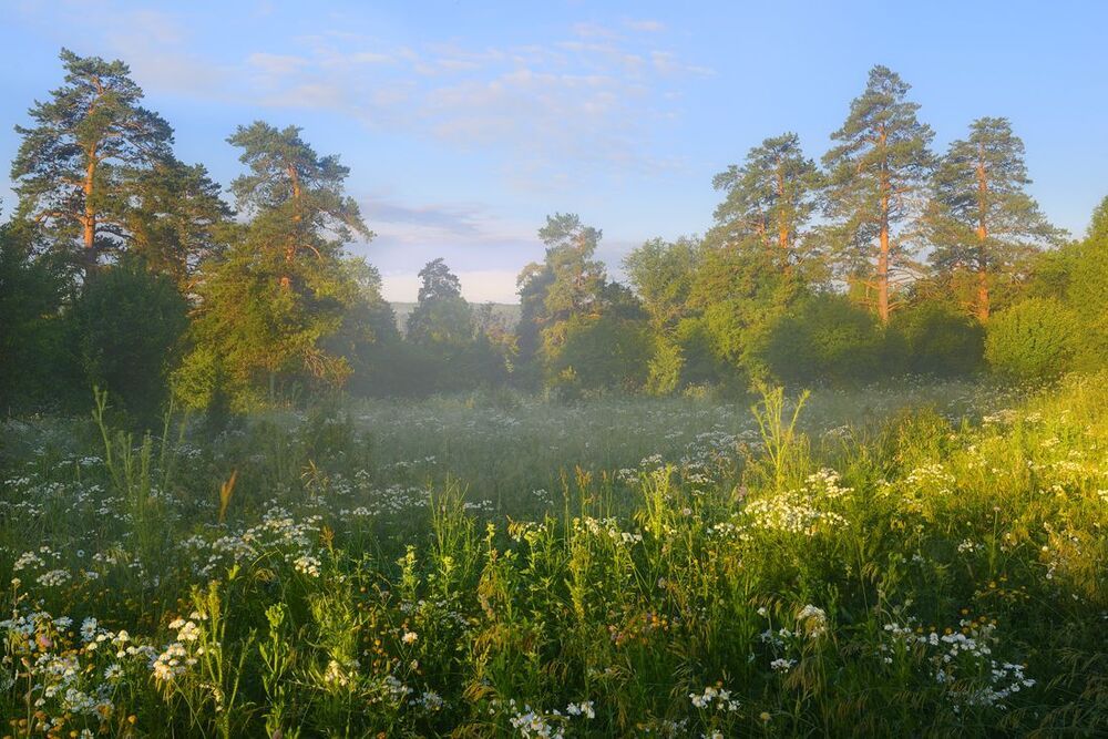 Photo 1327022