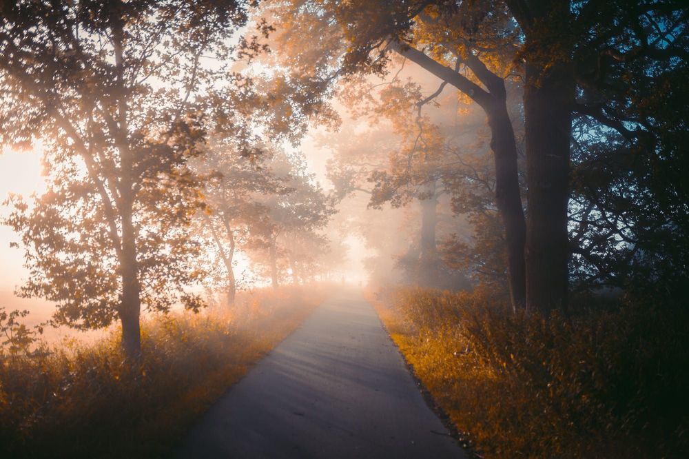 Landscape and Travel Photography