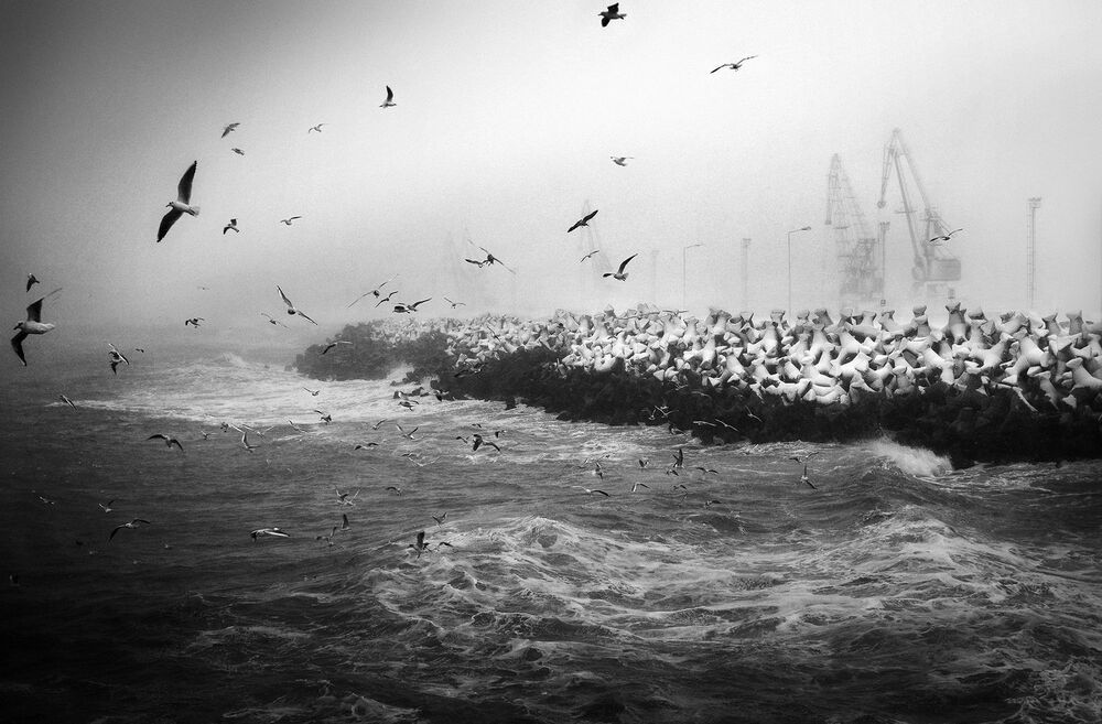 My black and white vision