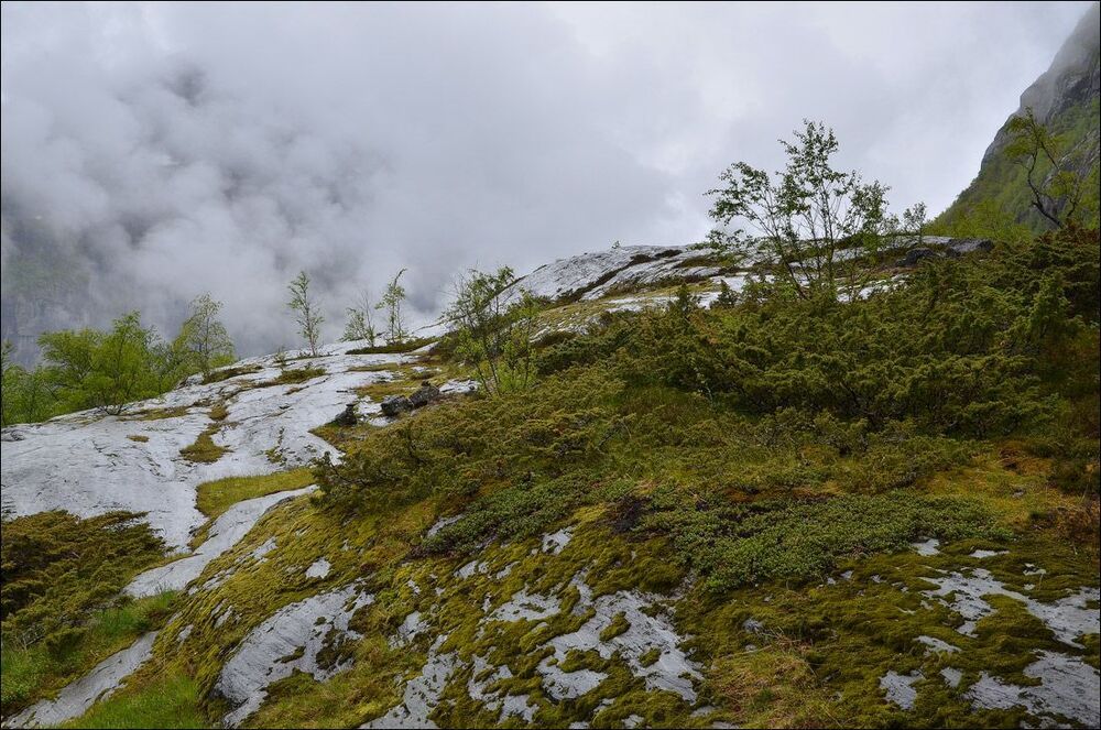 Жизнь на камнях