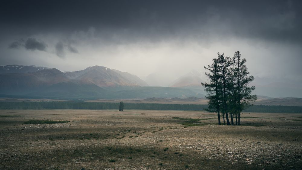 Непогода в Курайской степи / Bad weather in the kurai steppe