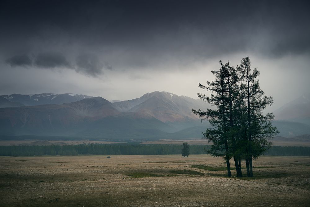 Непогода в Курайской степи / Bad weather in the kurai steppe
