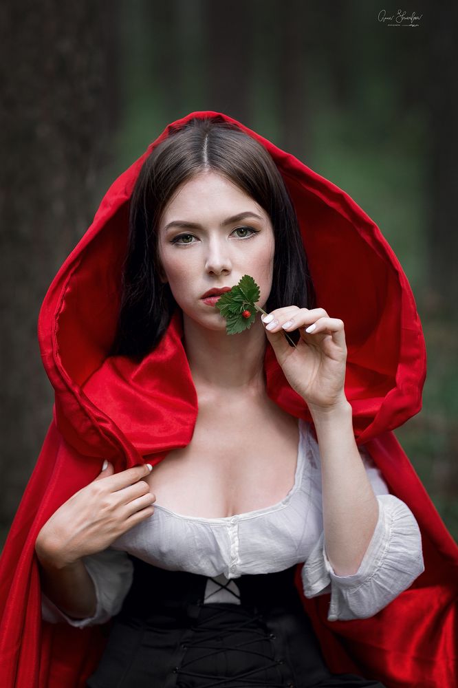 Новая Красная Шапочка