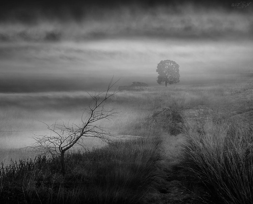 Мгла "Mist"