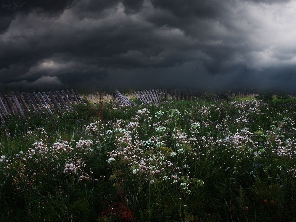Буря "Storm"