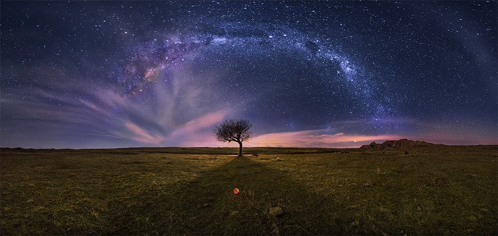 Love for the sky