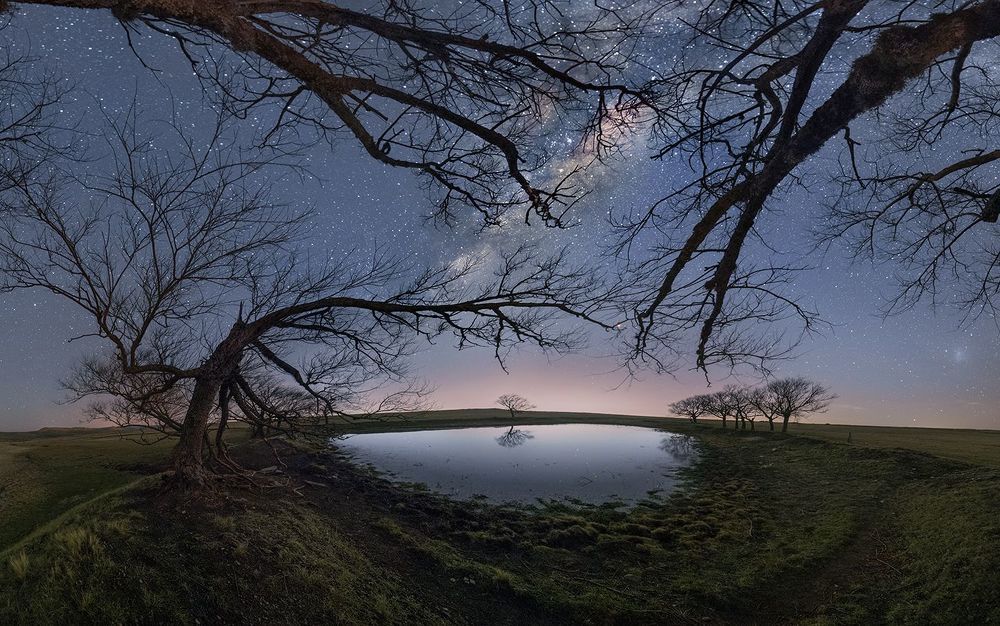 Love for the sky