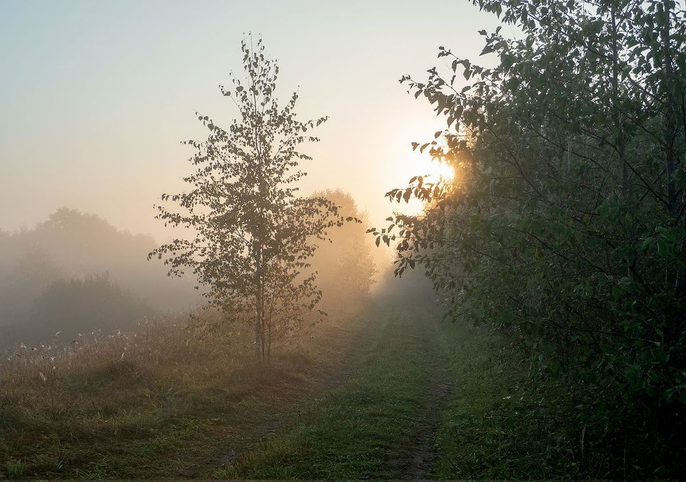 Одно сентябрьское утро.(2)