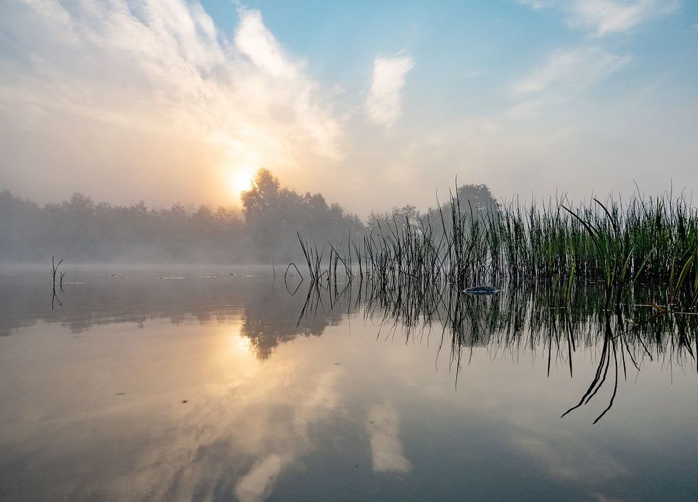 Одно сентябрьское утро.(2)