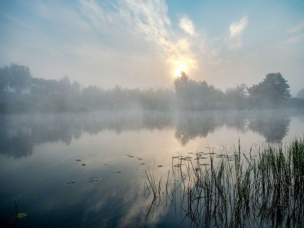 Одно сентябрьское утро.(2)