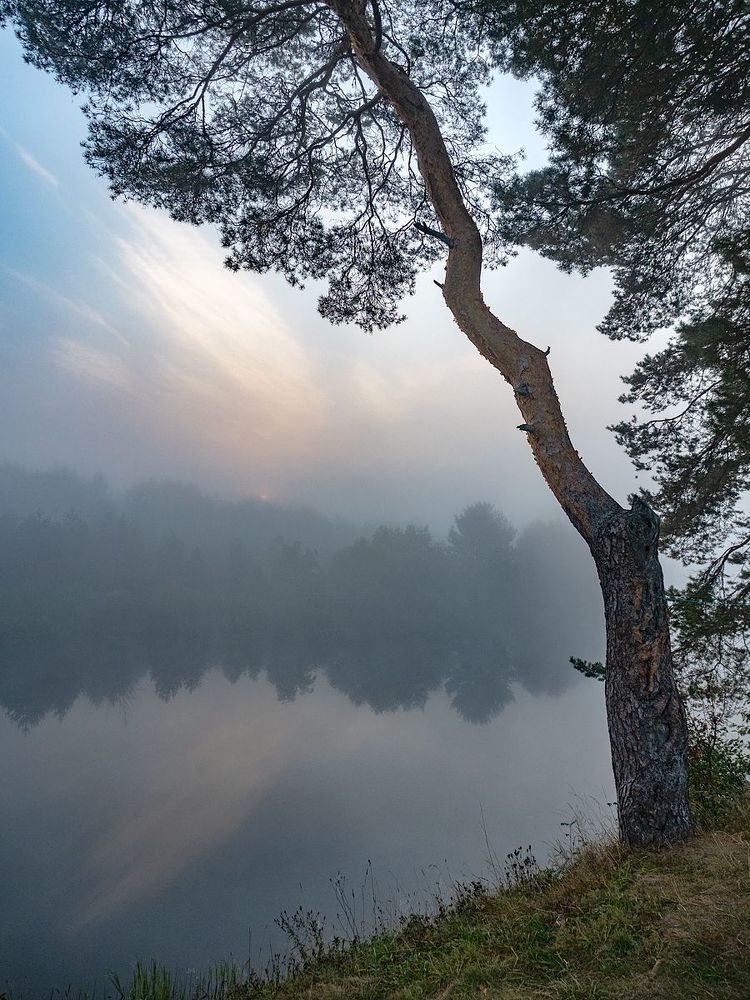 Одно сентябрьское утро.(2)