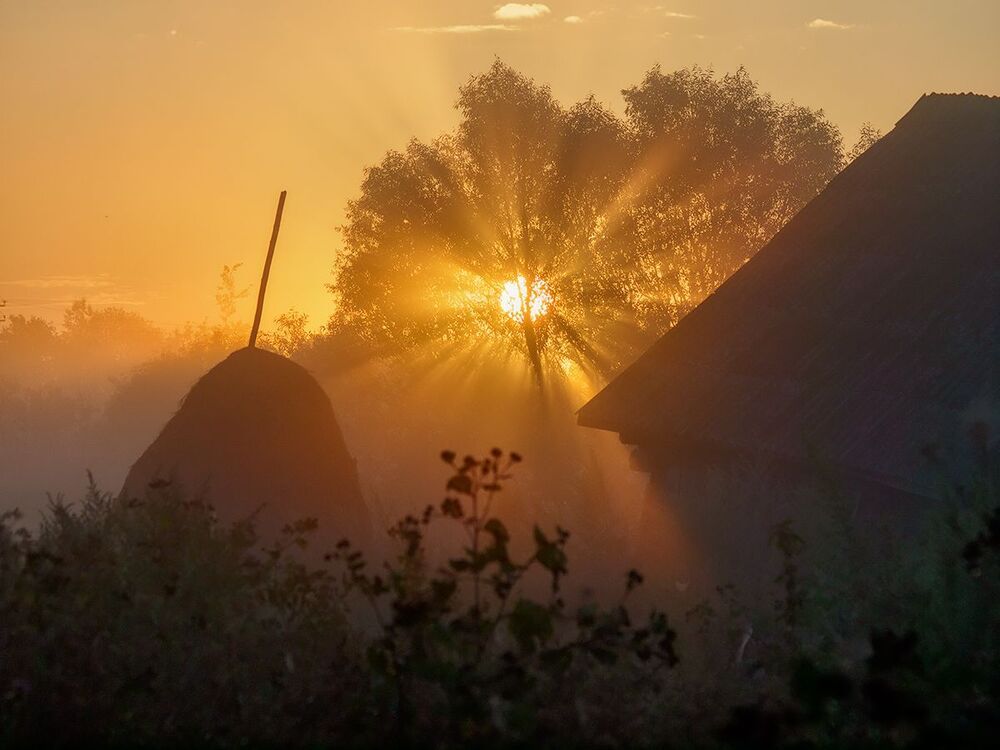 И снова Осенево...