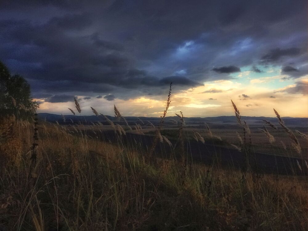 Осенние зарисовки 